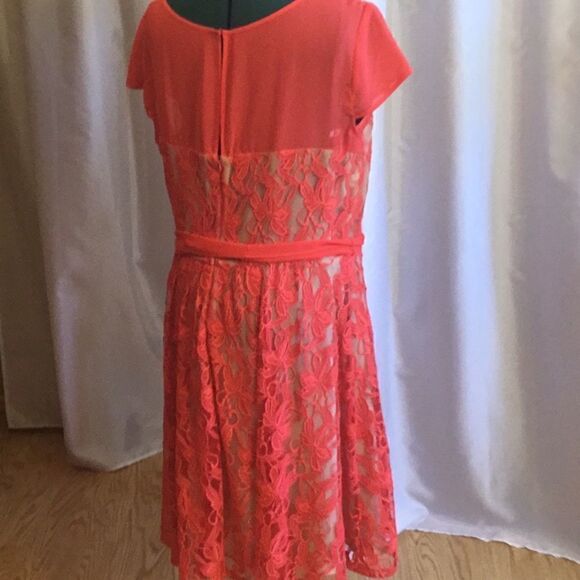 NWOT by DANNY & NICOLE in size 18 tangerine colored dress sheer top with overlay - Picture 10 of 15